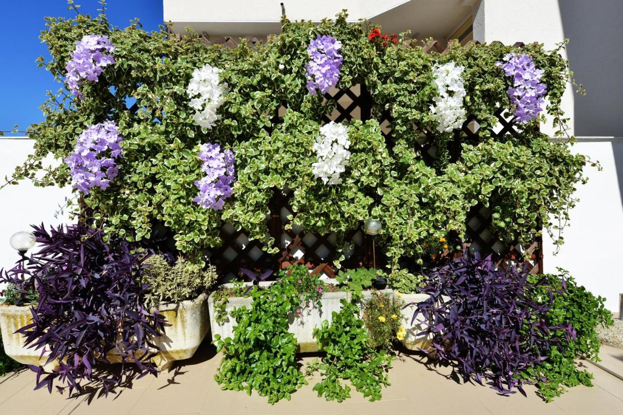 Apartment Lavender Vir Exteriör bild